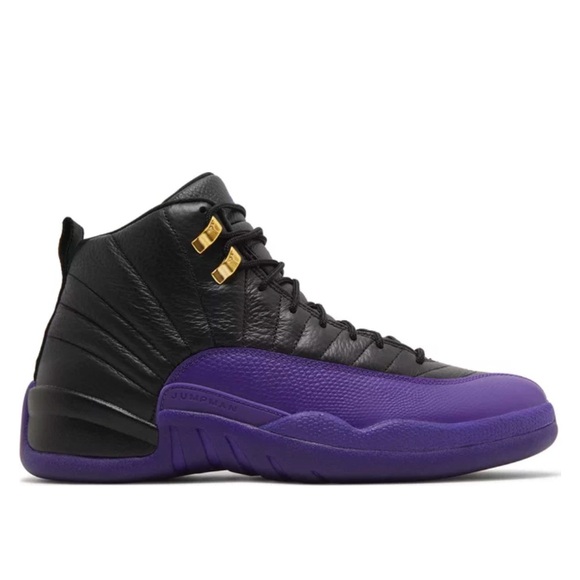 Brand new Jordan 12s never wore  comes with box